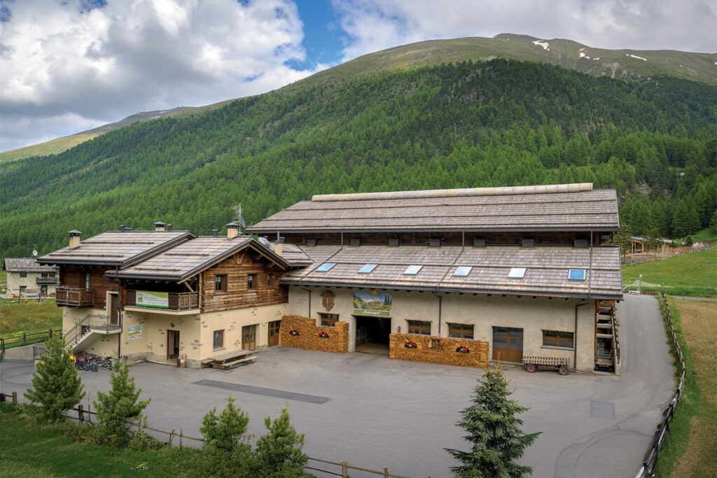 alp livigno headquarters with stable and processing workshop in Tresenda