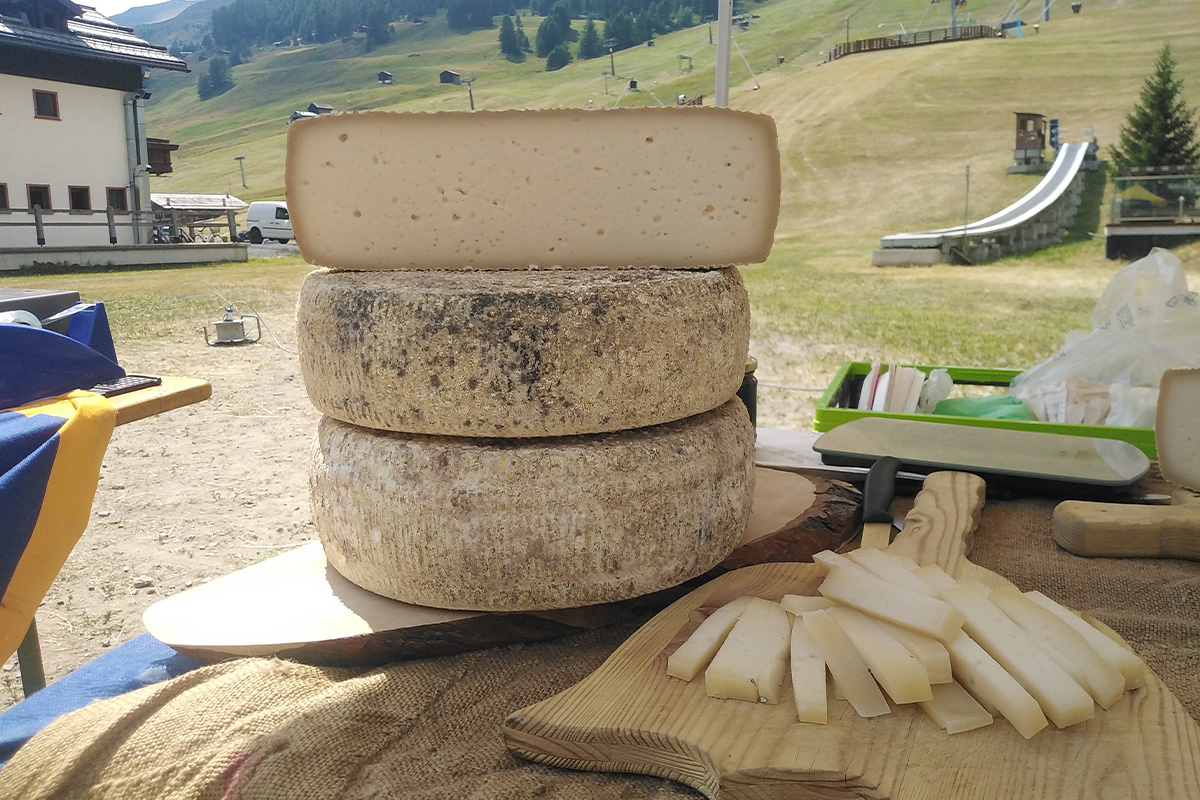 formaggi tipici a livigno