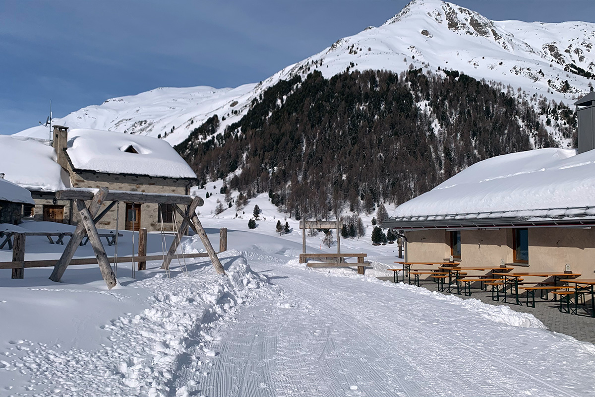 alpe vago snowshoeing route with lunch on a farm in livigno
