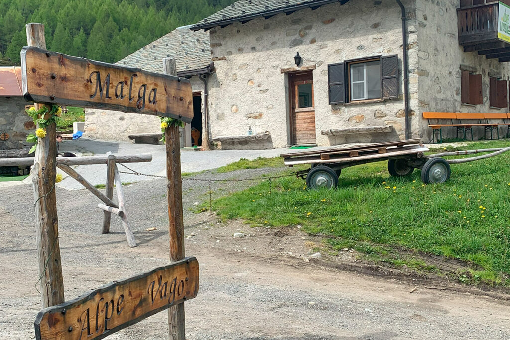 malga alpe vago a livigno