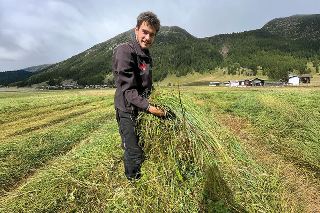 fienagione a livigno