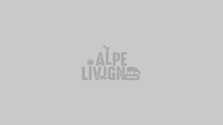 placeholder alpe livigno