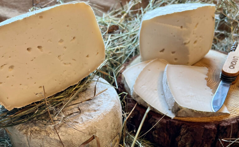 formaggio di capra di livigno