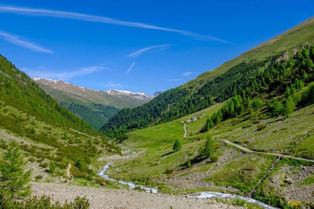alpe mine agriturismo a livigno in alta montagna: percorsi trekking e mtb