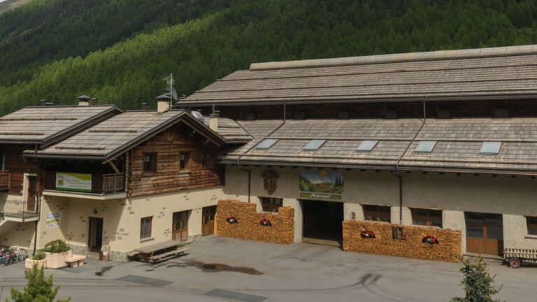 stable, charcuterie and cheese factory Alpe Livigno