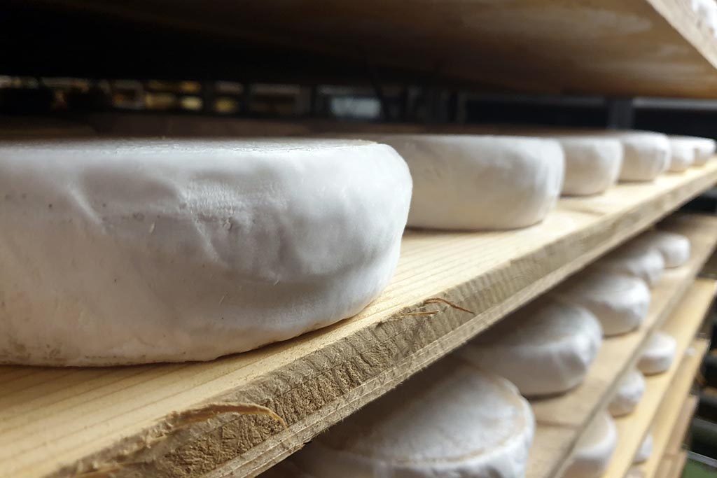 produzione dello scimudin a livigno